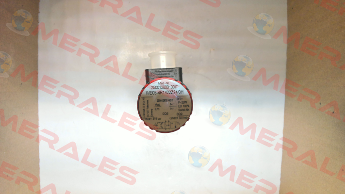 WE05-4R1422Z24/0H Voith