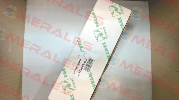 17304B.B.D Pneumax