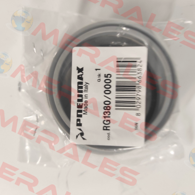 RG1380/0005 Pneumax