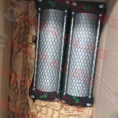 1308.125.254.01A Pneumax