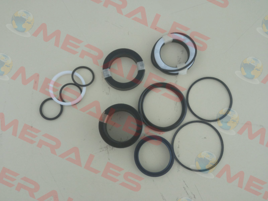 seal kit for K0-50/36X160-A303-G-I-1-M-20 Glual Hydraulics