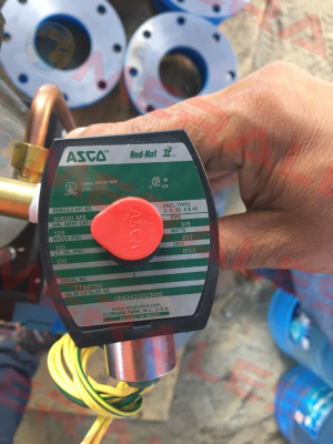 HB8342G003MS  Asco