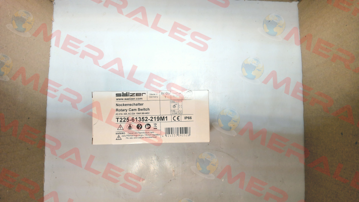 T225-61352-219M1 Salzer