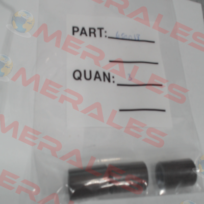 650018 General Pump