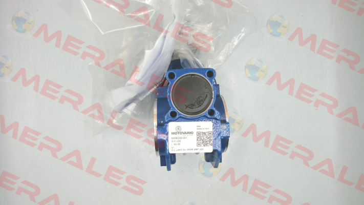 SW030 80,0 080*09 14 U MV Motovario