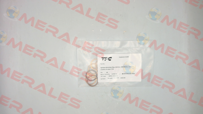 DNS22-S16 / 1450258 SMALLEY
