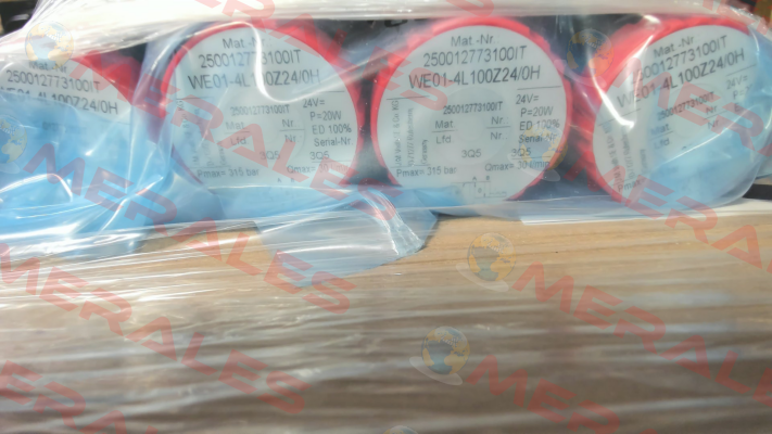 WE01-4L100Z24/0H (1367100710) Voith