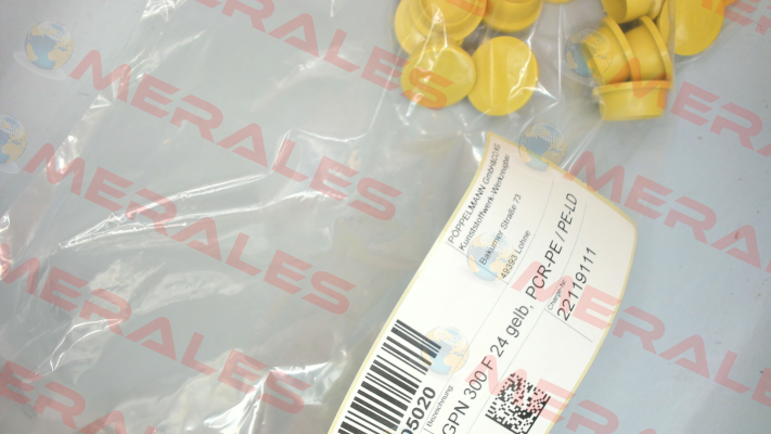 300 0024 1073 / GPN300F24 Poppelmann