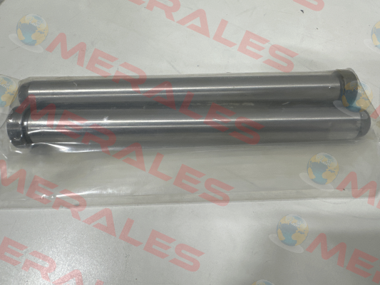 Z01/20x200 Hasco