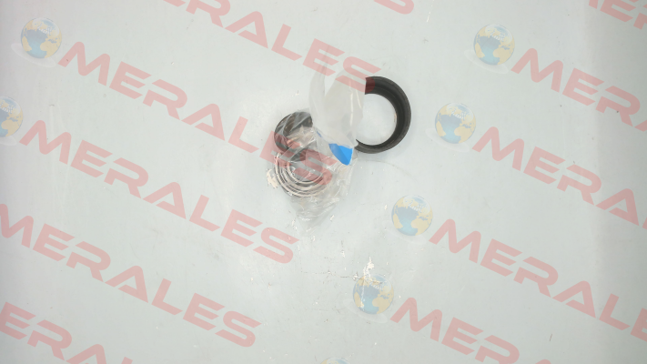 Set of bearing stars with bearings for V 630002 DA 7/7 RTC Chaysol
