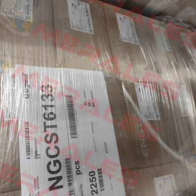 NGCST6133 Ensto