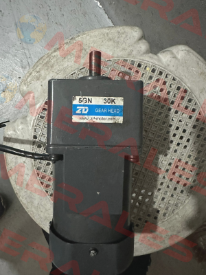 5GN30K ZD-Motors