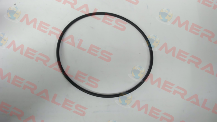 O-ring for filter type FM DN 50 Madas