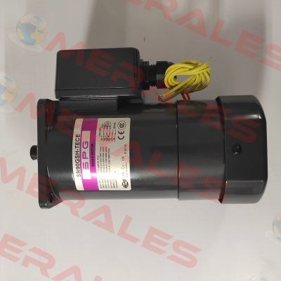 S9I90GSH-TECE Spg Motor