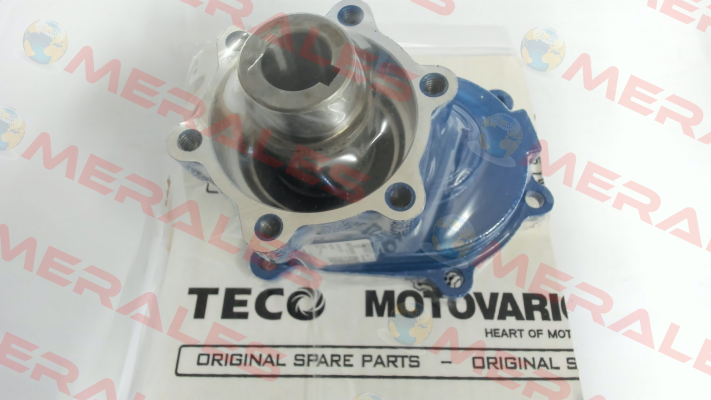 3043876 Motovario