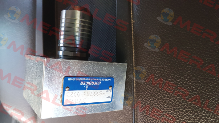 HB99753-002B Hoerbiger
