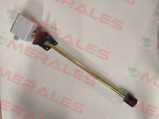 NTR 70-K2-A-FE-L500-01-L1/380/S-L2/170/S-I Goldammer