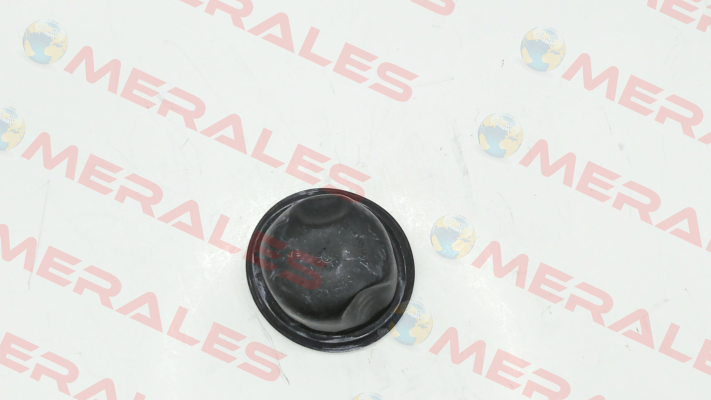 A04246874 MAHLE