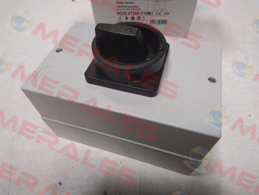 H220-41300-710M1 Salzer