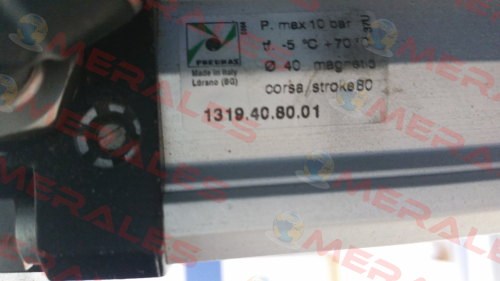 1319.40.80.01  Pneumax
