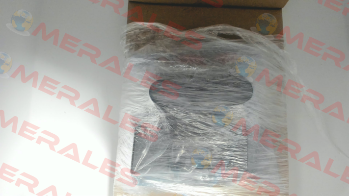 WE255-4R100Z24/0H Voith
