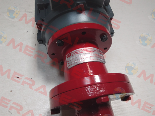 F0G025W0CDNB011 POMPE CUCCHI SRL