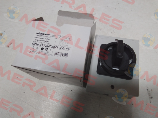 H220-41300-700M1 Salzer