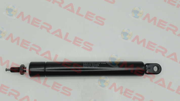 299030 Stabilus