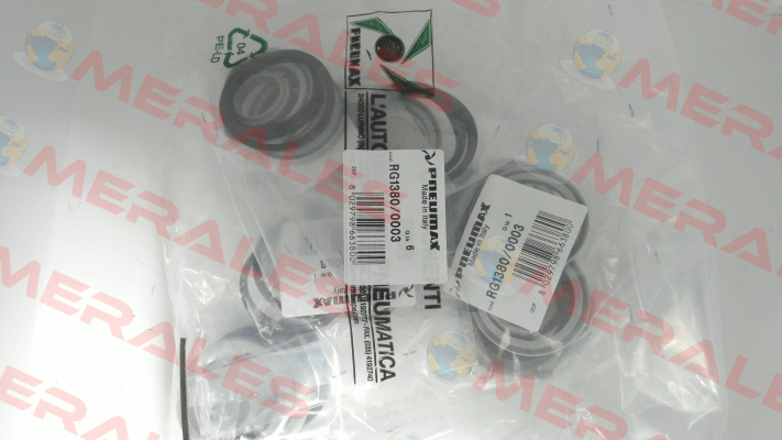 RG1380/0003 Pneumax