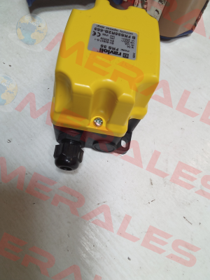 BFRS35R2B-553 Ravioli