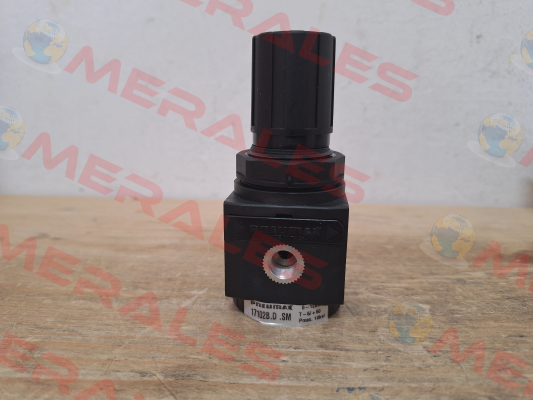 17102B.D.SM Pneumax