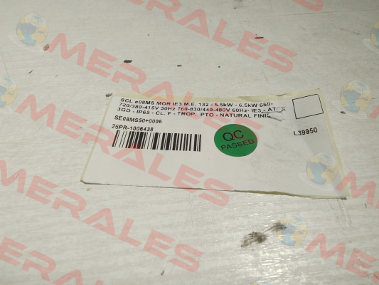 SCL e08-MS MOR IE3 Fpz