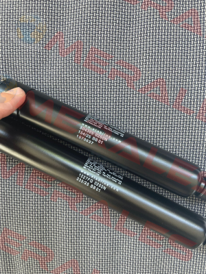 1027FG 0250 N Stabilus