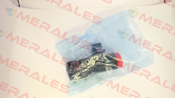 WE09-4L100Z024/0H Voith