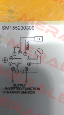 SM155230300  Carlo Gavazzi