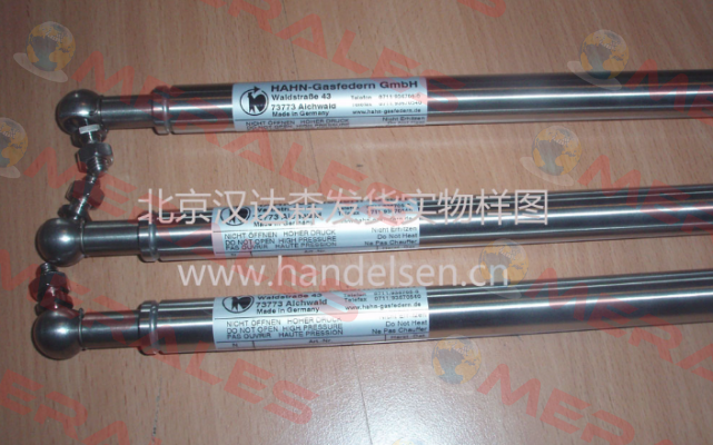G06-15ST-18186 Hahn Gasfedern