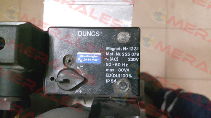 228295 (1231 AC 230 V IP 54) Dungs