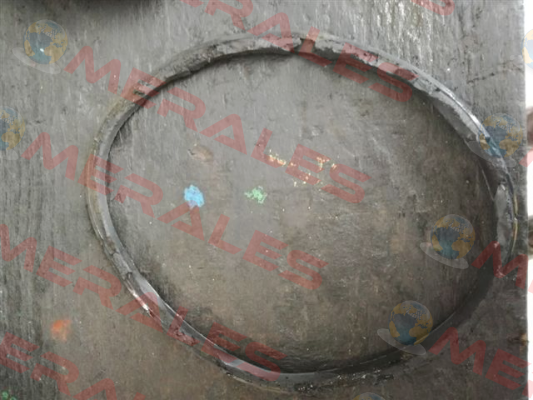 O-ring for Serial n. CF 0010373   Tecofi