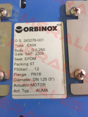 EX DN 125 mit OS 243278-001  Orbinox