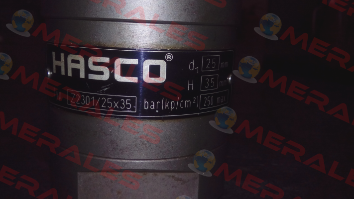 Z2301/25x35  Hasco