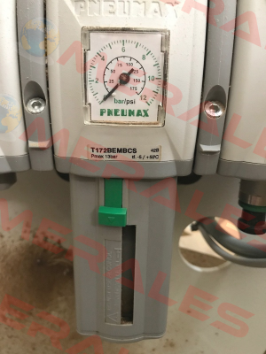 T172BEMBCS Pneumax