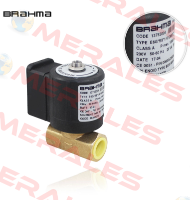 13752004 / E6G*S 8*1/4*GMOC Brahma