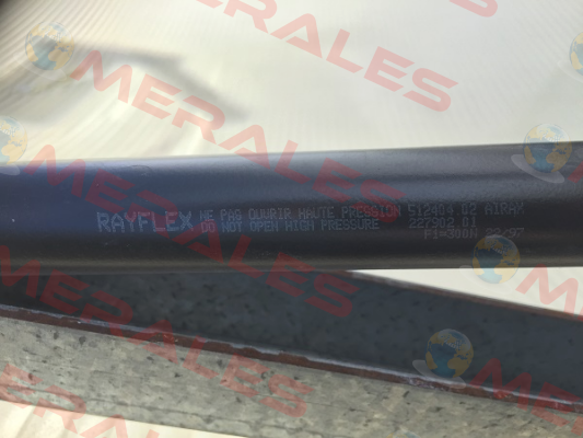 512404   Rayflex