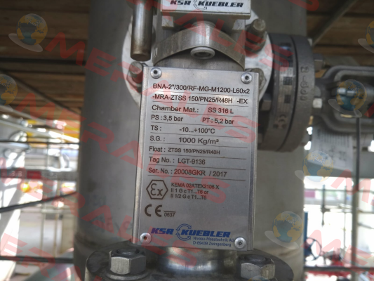 BNA-2"/300/RF-MG-M1.200-L60x2-MRAZTSS150/PN25/R48H-Ex  Ksr Kuebler