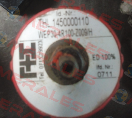 WEP30-4R100Z009/H  Voith