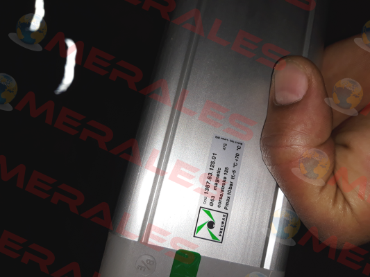 RK1386/0016 Pneumax