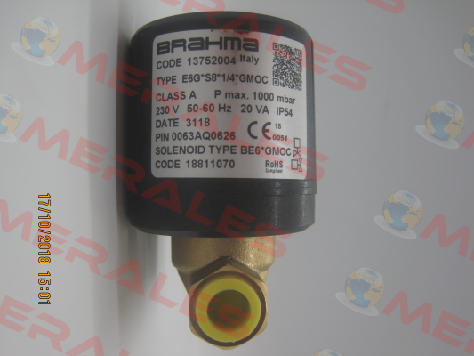 E6G*S8 R1/4" B/BE6*GMOC (stock) Brahma