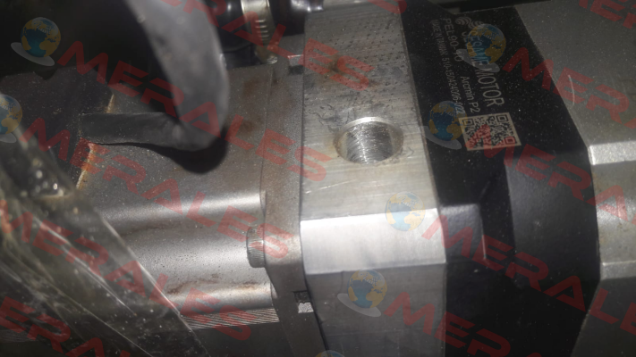 PEL90- 10-P2 Sesame Motor