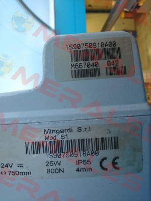 1S90750918A00 Mingardi