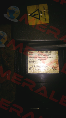 G11V200S-40 Sesame Motor